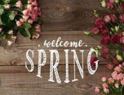 Spring 2021 Newsletter